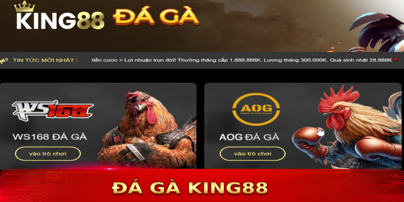 Đá gà cựa dao King88 sẽ là lựa chọn tuyệt vời cho các kê thủ. Nhà cái cam kết uy tín, đa dạng kèo cược, thanh toán nhanh đảm bảo sẽ làm bạn hài lòng hơn cả mong đợi.